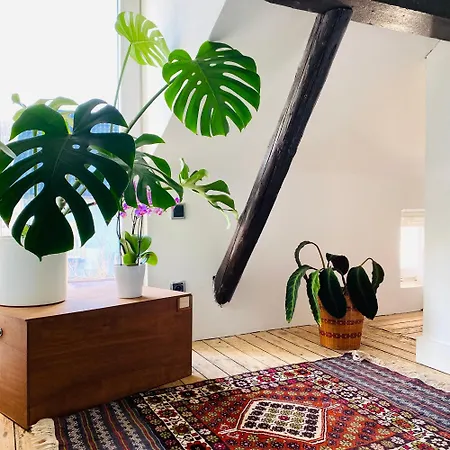 La 1911 Ars-sur-Moselle