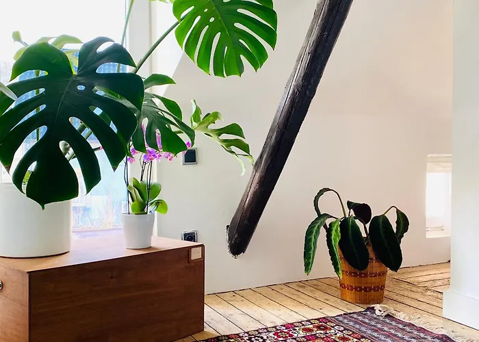 La 1911 Ars-sur-Moselle